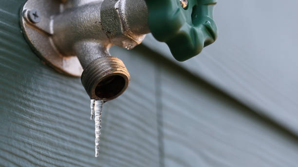Best Plumbing Inspection Services  in Highland Springs, VA